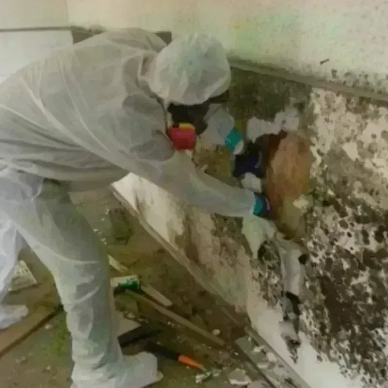 Mold Remediation and Removal in Copiague, NY